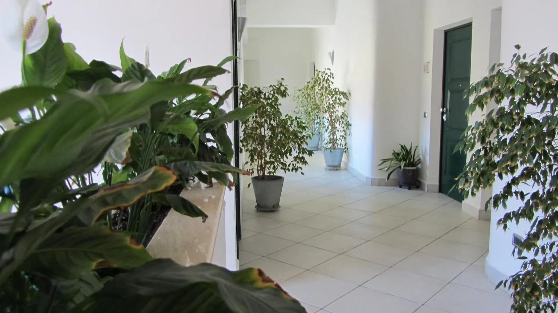 Excelsior Apartment Piombino